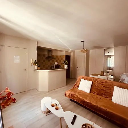 De 30 M2 Centre-ville *